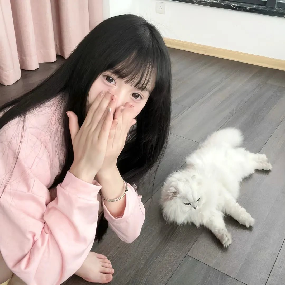 神奇动物：邓布利多之谜