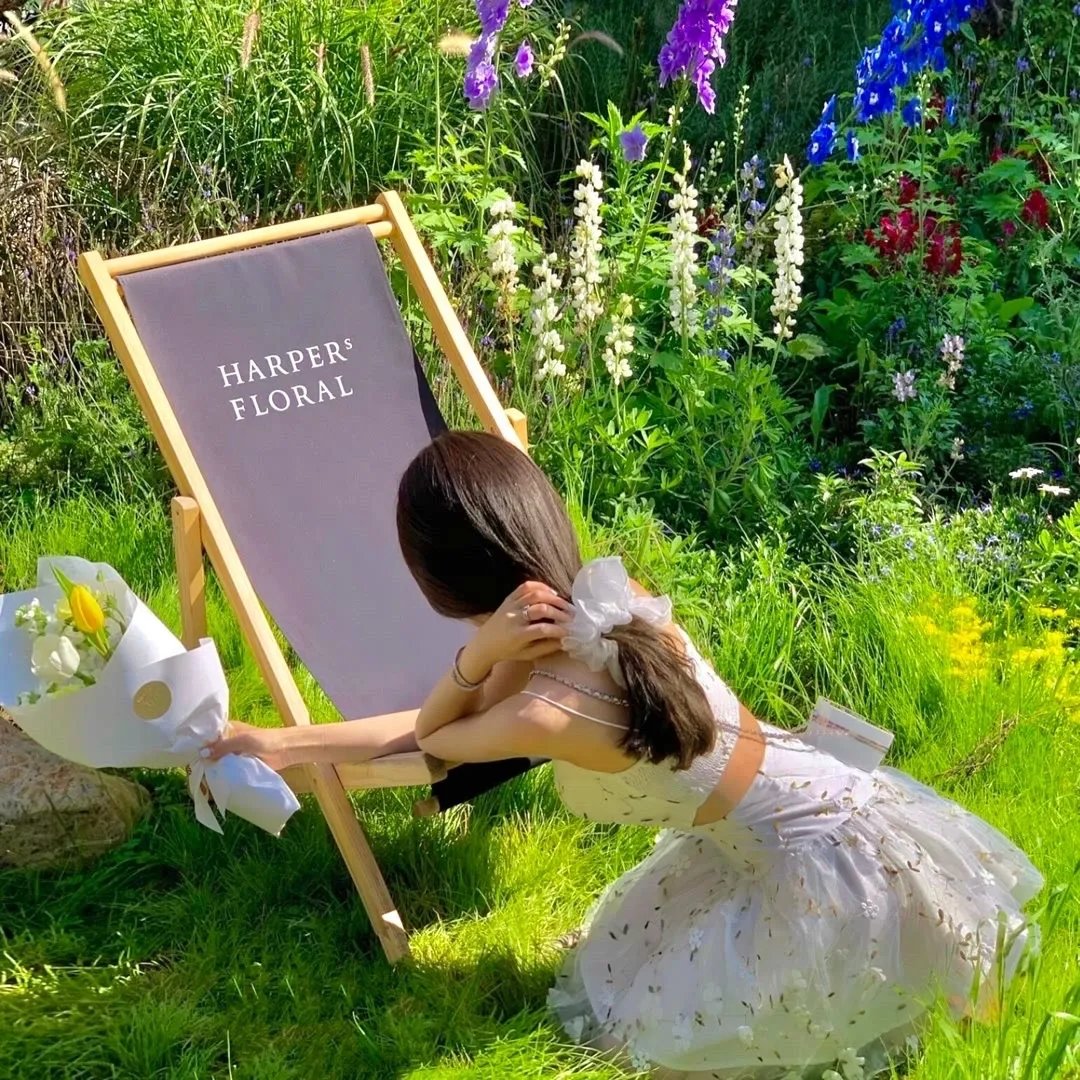 亲爱的王子大人